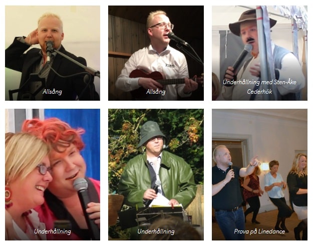 Musikunderhållning